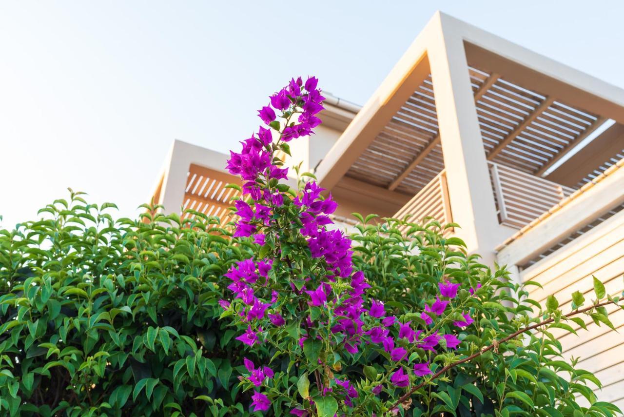 Aelia Home Suites มาราโธโพลิส ภายนอก รูปภาพ